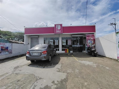 Dali Everyday Grocery - Santiago